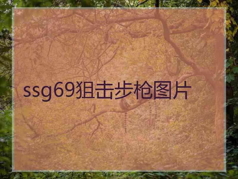 ssg69狙击步枪图片