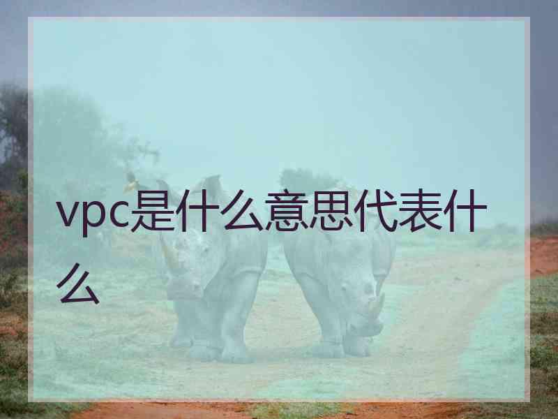 vpc是什么意思代表什么