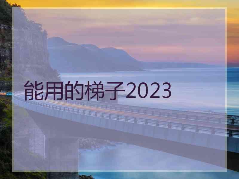 能用的梯子2023