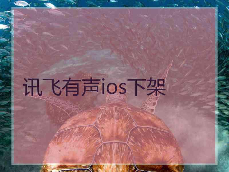 讯飞有声ios下架