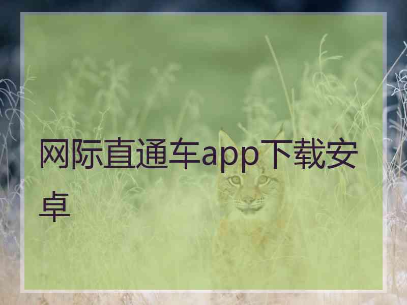 网际直通车app下载安卓