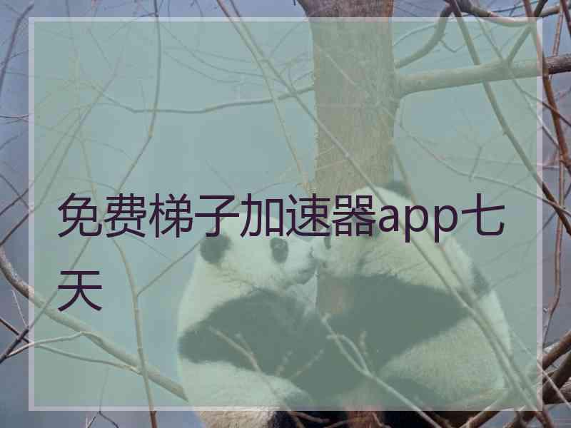 免费梯子加速器app七天