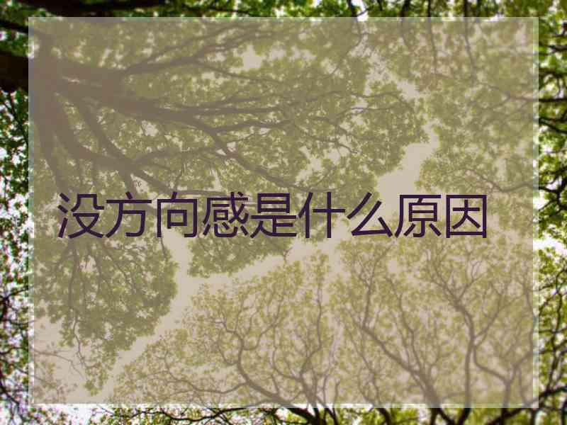 没方向感是什么原因