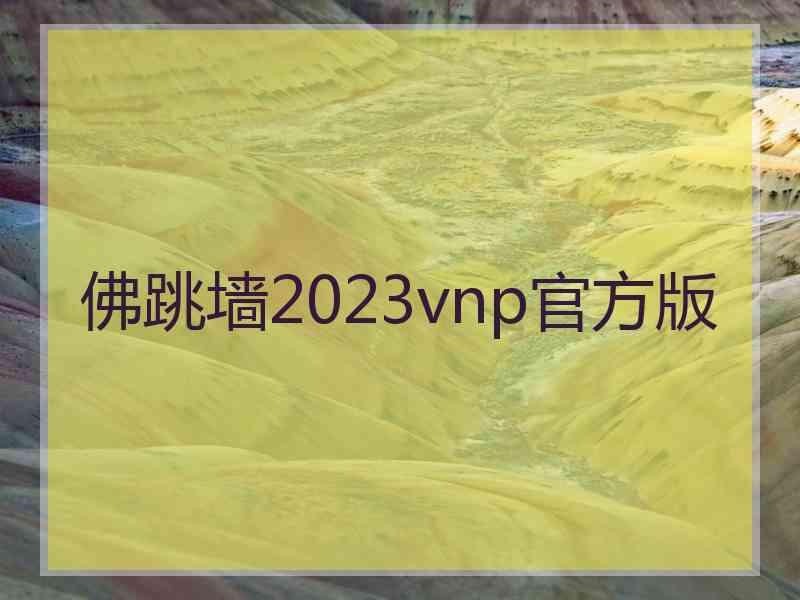 佛跳墙2023vnp官方版