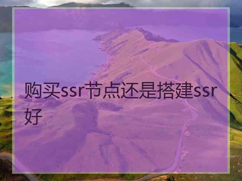 购买ssr节点还是搭建ssr好