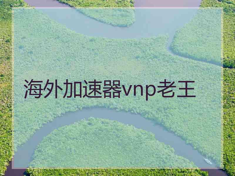 海外加速器vnp老王