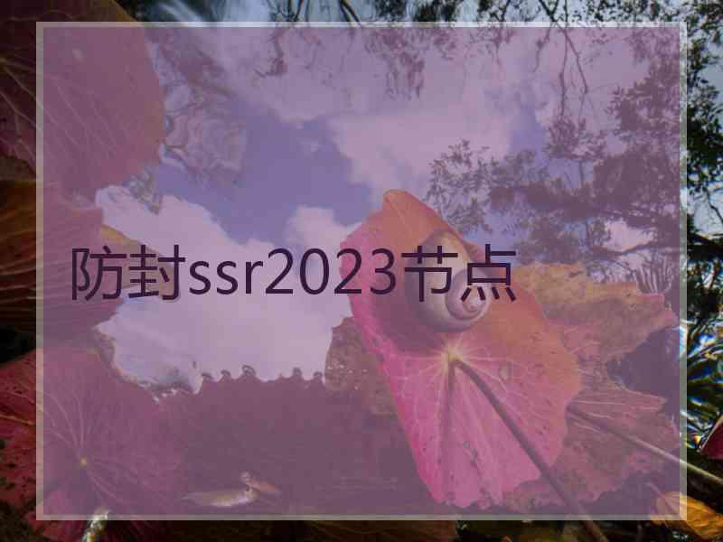 防封ssr2023节点