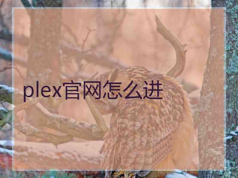 plex官网怎么进