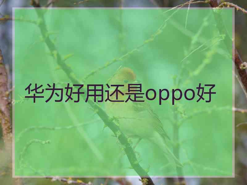 华为好用还是oppo好