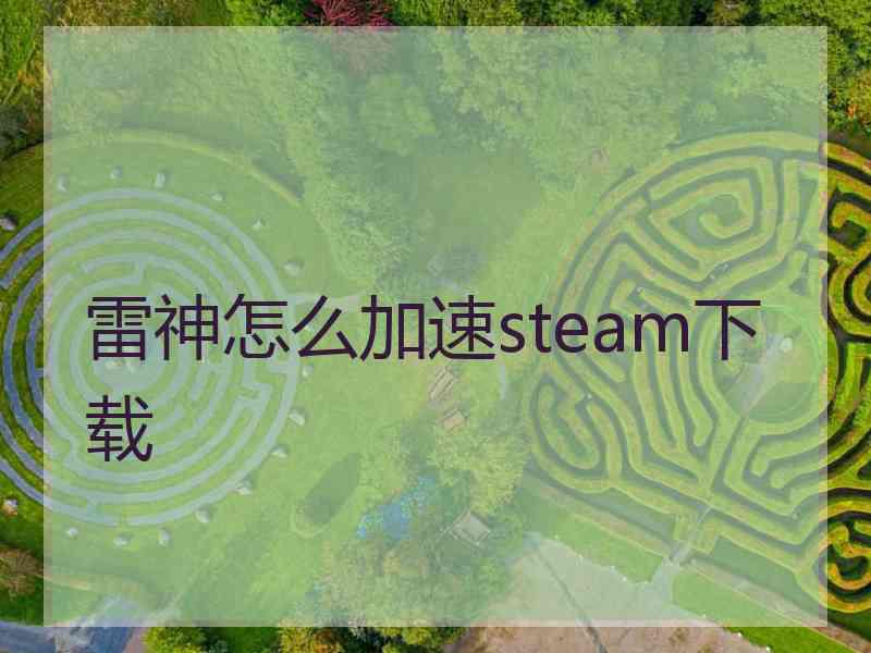 雷神怎么加速steam下载