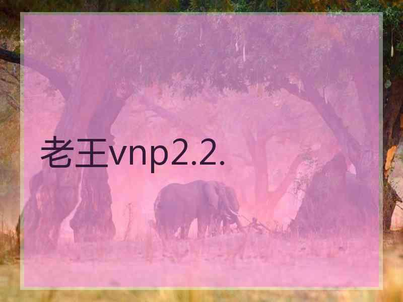 老王vnp2.2.