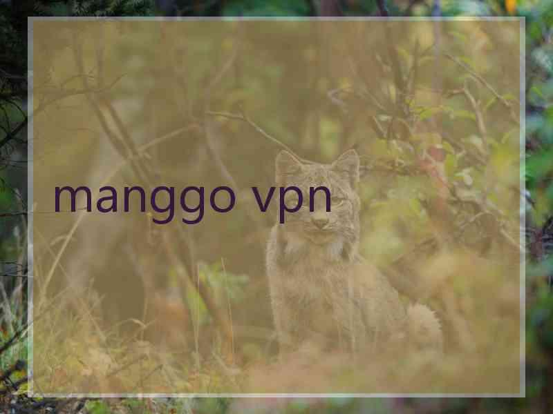 manggo vpn