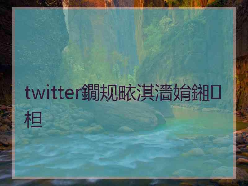 twitter鐗规畩淇濇姢鎺柦