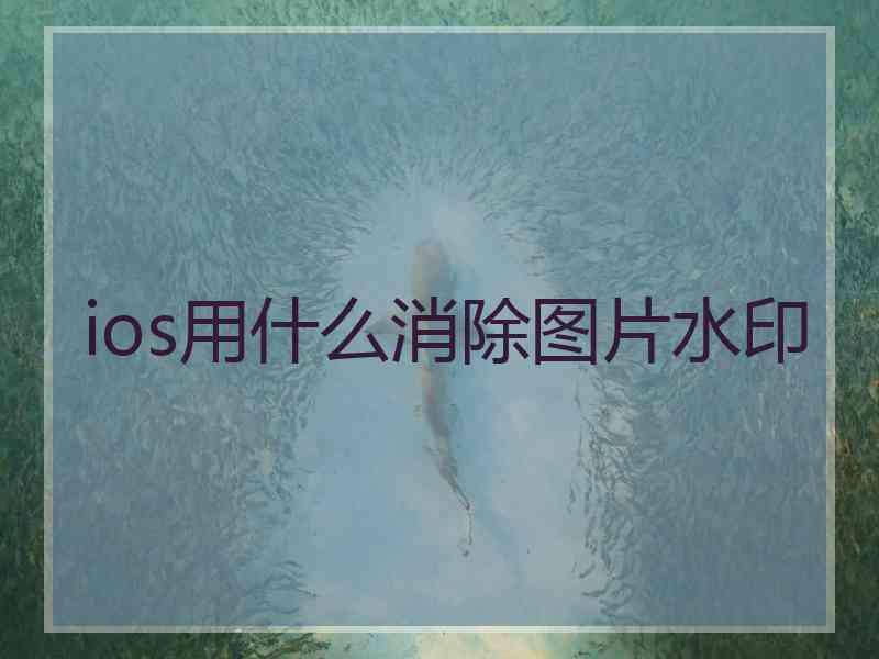 ios用什么消除图片水印