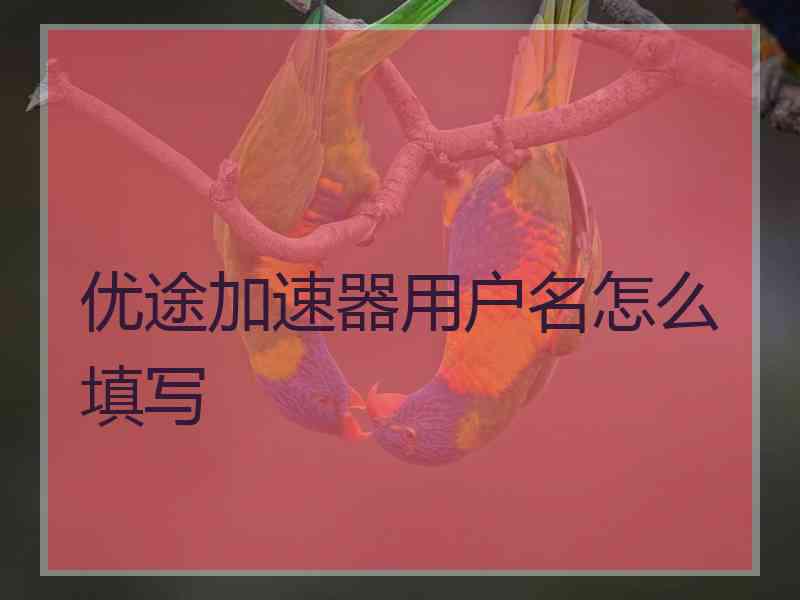 优途加速器用户名怎么填写