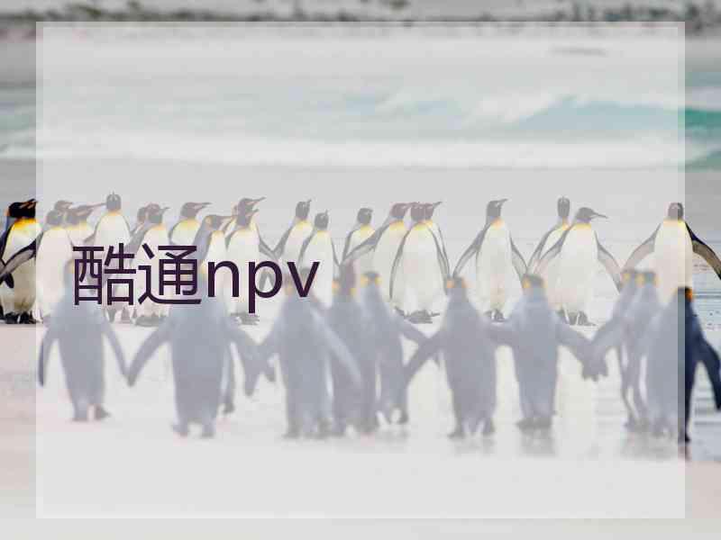 酷通npv