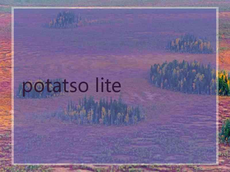 potatso lite