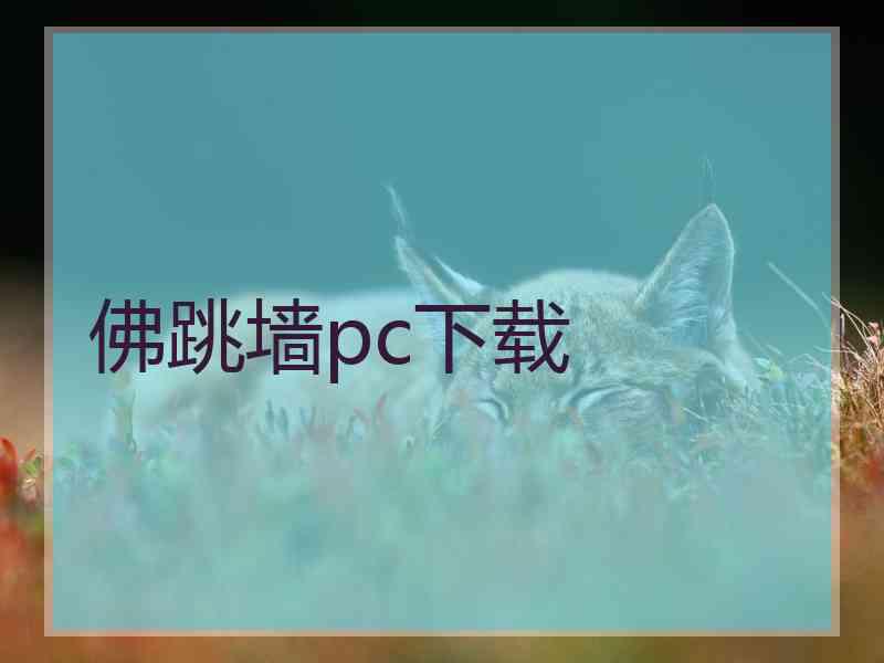 佛跳墙pc下载