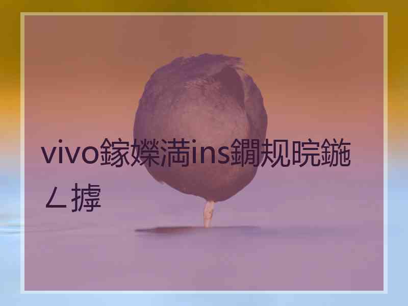 vivo鎵嬫満ins鐗规晥鍦ㄥ摢