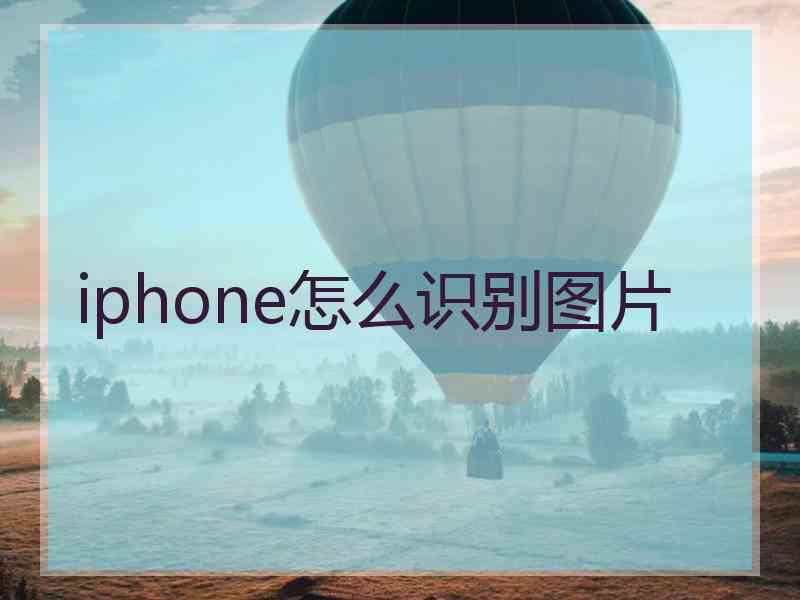 iphone怎么识别图片