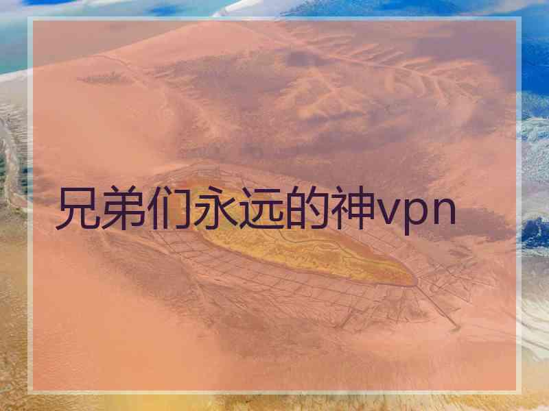 兄弟们永远的神vpn