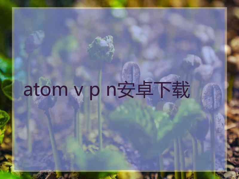 atom v p n安卓下载