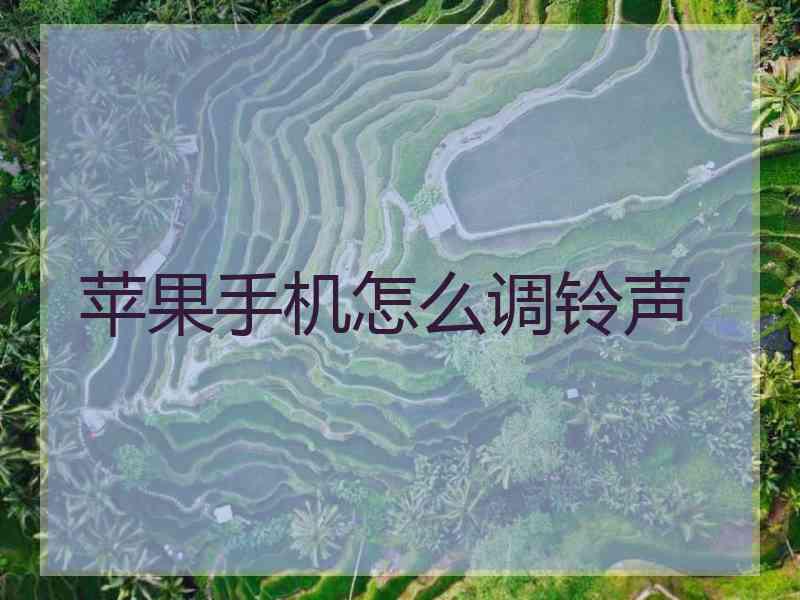 苹果手机怎么调铃声