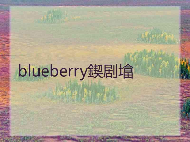 blueberry鍥剧墖