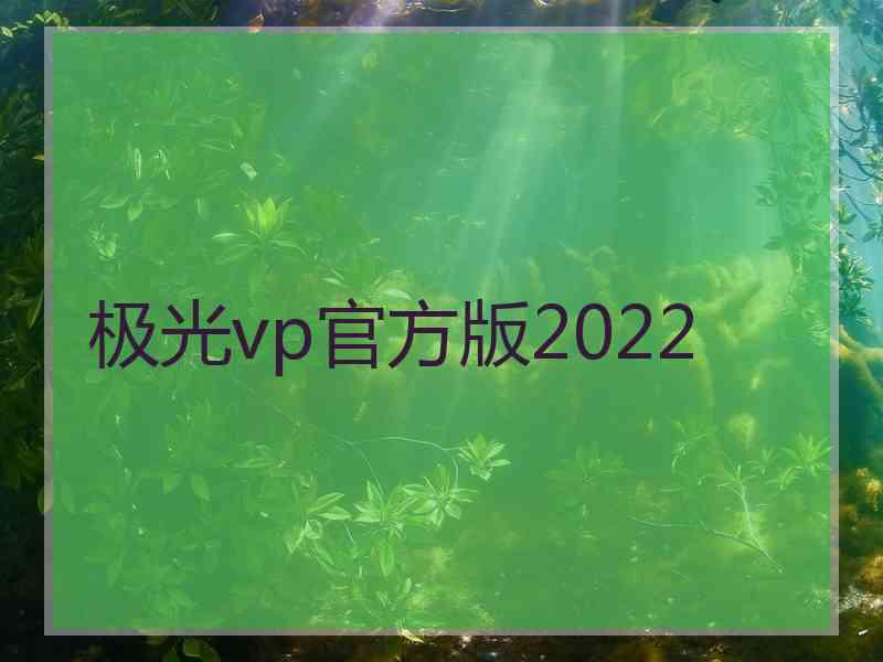 极光vp官方版2022