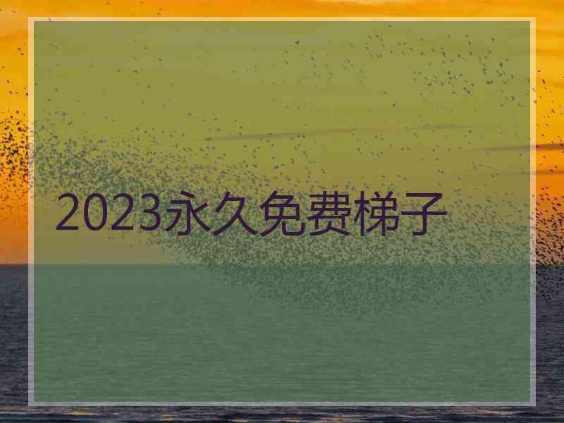 2023永久免费梯子