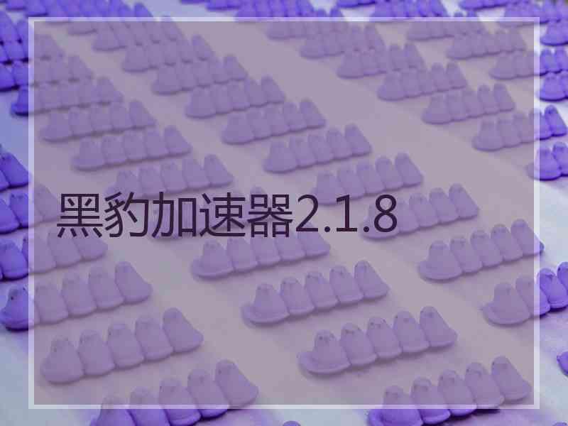 黑豹加速器2.1.8