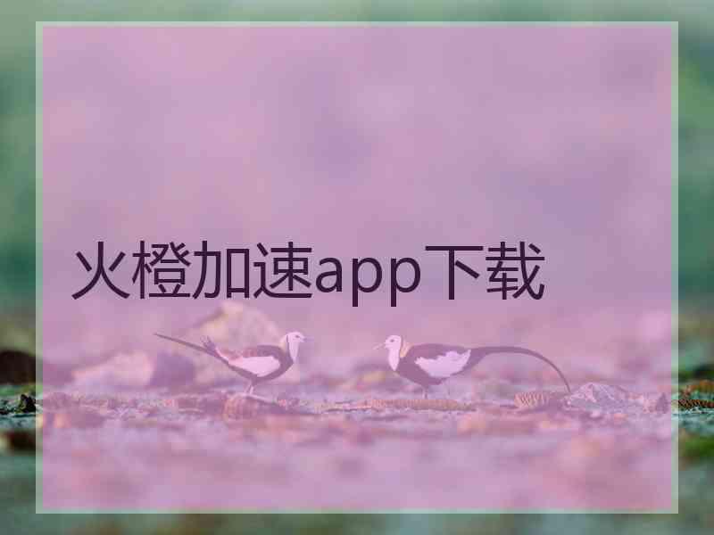 火橙加速app下载