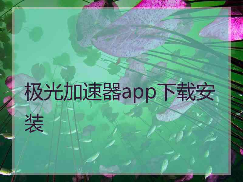 极光加速器app下载安装