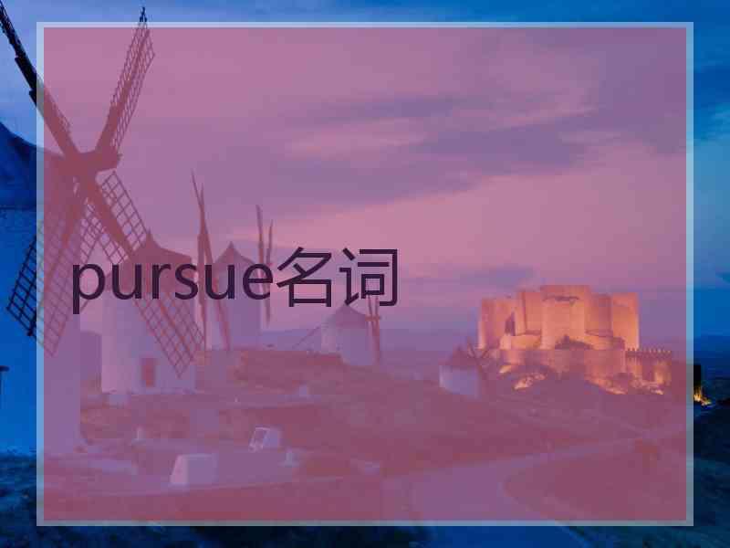 pursue名词