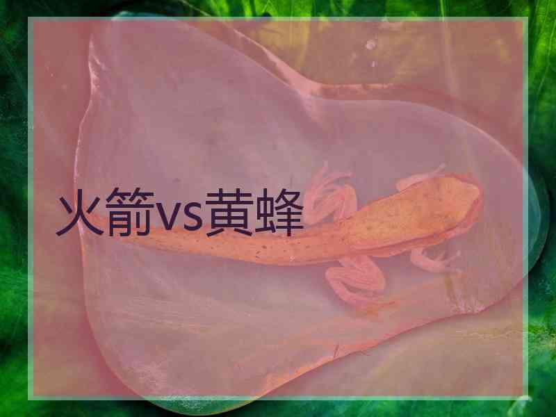 火箭vs黄蜂