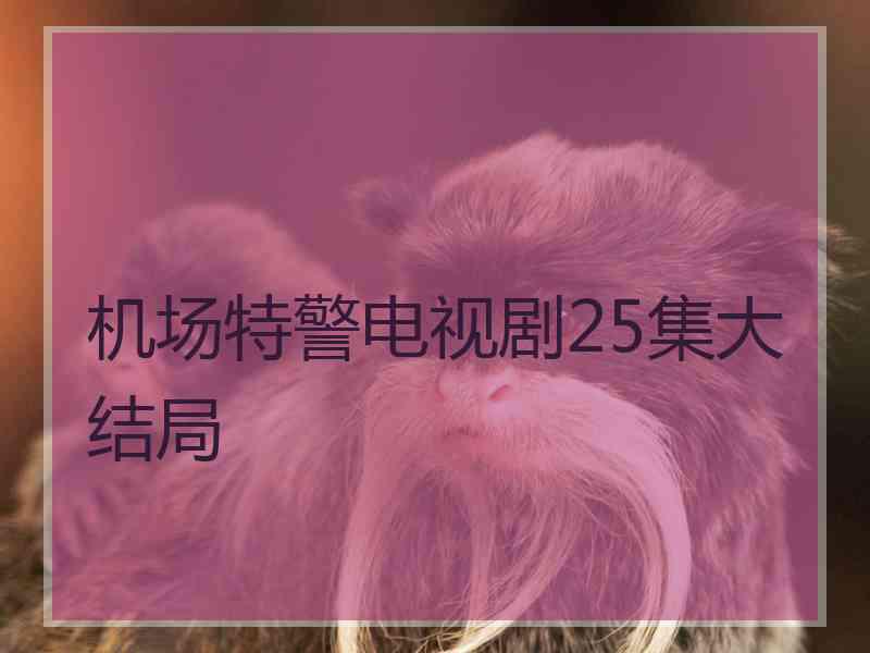 机场特警电视剧25集大结局