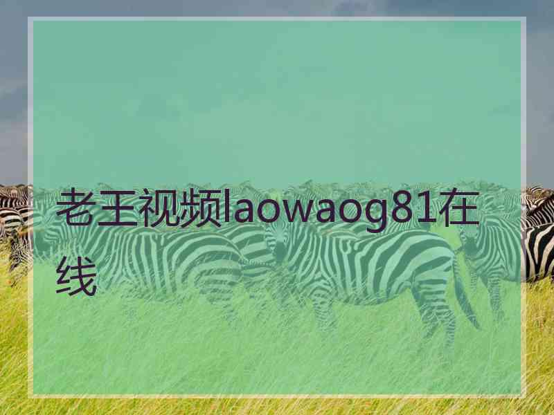 老王视频laowaog81在线