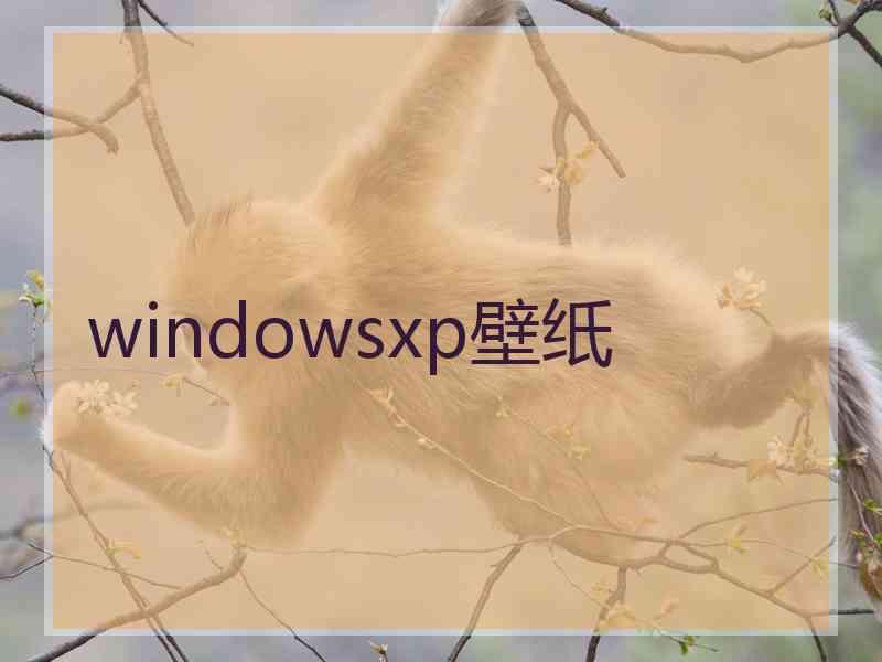 windowsxp壁纸