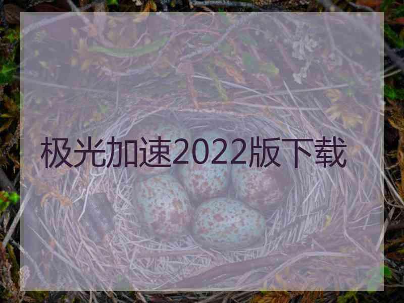 极光加速2022版下载