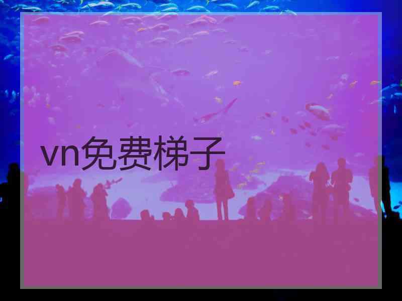 vn免费梯子