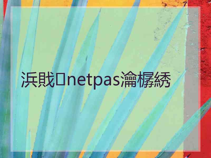 浜戝netpas瀹樼綉