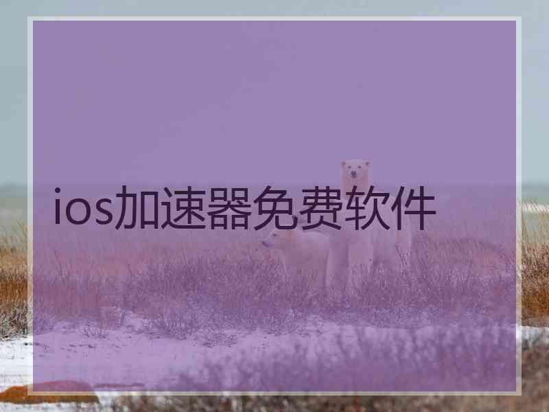 ios加速器免费软件