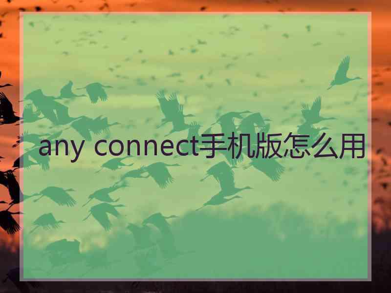 any connect手机版怎么用