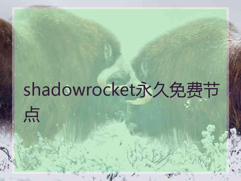 shadowrocket永久免费节点