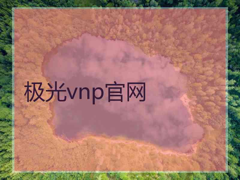 极光vnp官网