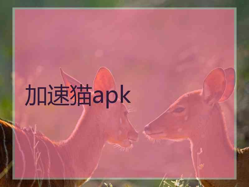 加速猫apk