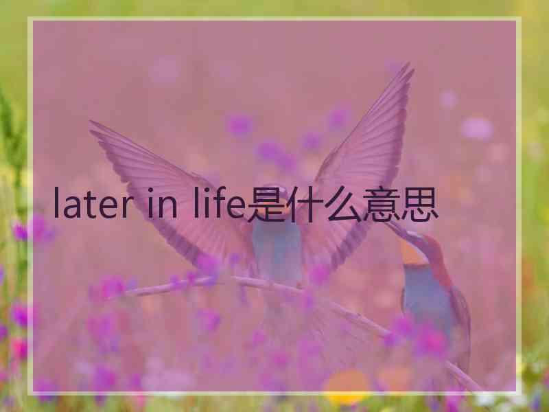 later in life是什么意思