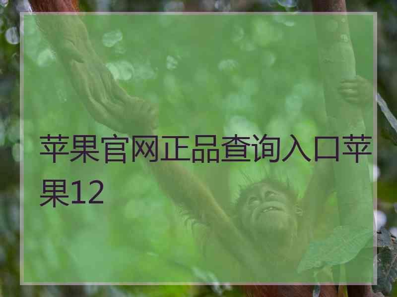 苹果官网正品查询入口苹果12