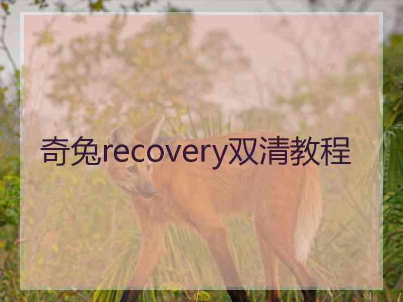 奇兔recovery双清教程