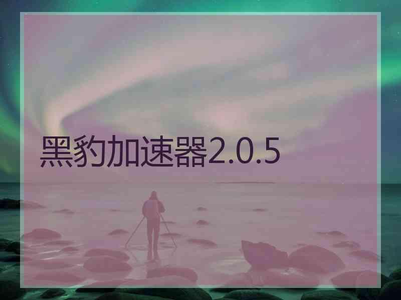 黑豹加速器2.0.5